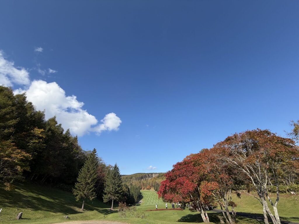 紅葉した木が見えるホール