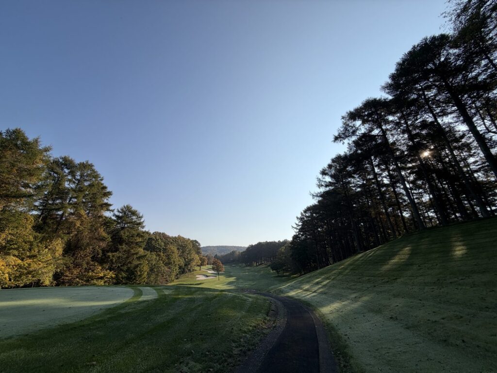 木々の間から朝日が差し込むホール