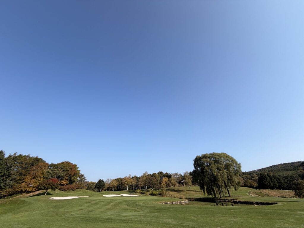 池と柳の木のあるホール