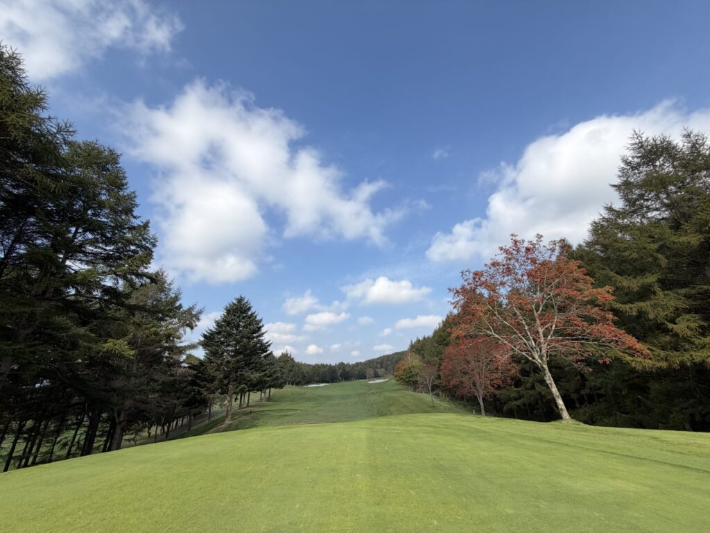 青空と雲、赤く色づいた木