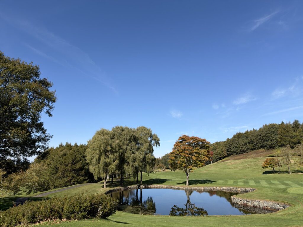 池と柳の木、紅葉した木